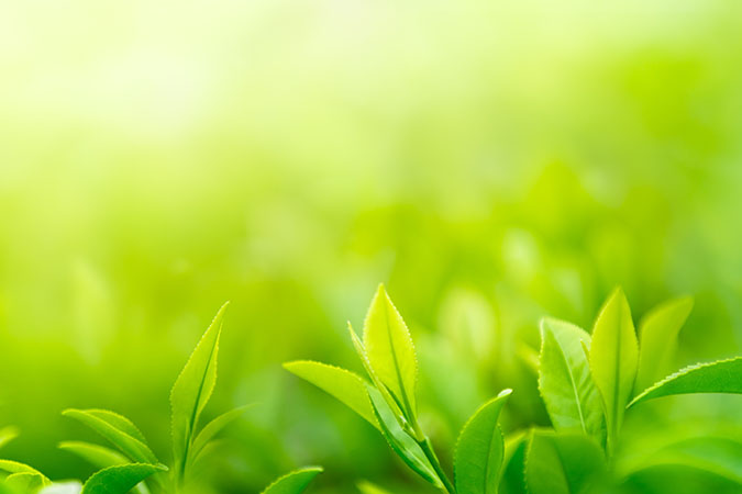 金屬蝕刻加工公司